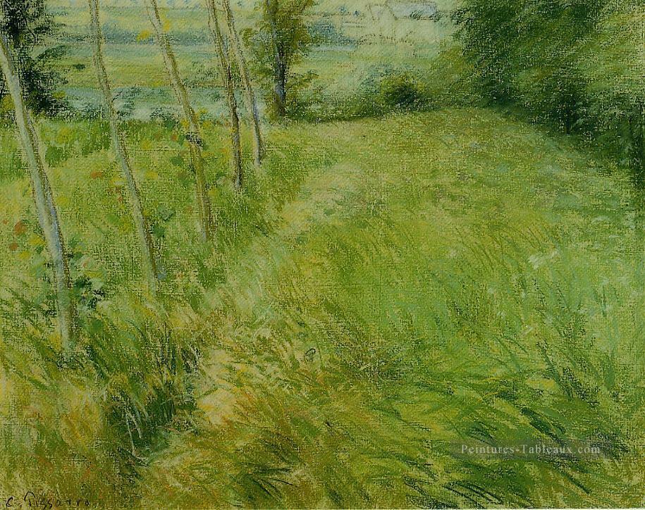paysage à pontoise 1 Camille Pissarro Peintures à l'huile